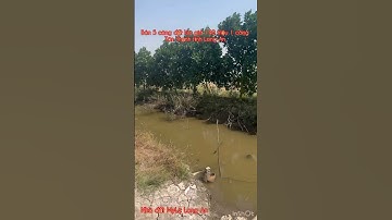 Cần bán nhanh DT 5 công đất lúa giá 140 triệu 1 công thuộc huyện Tân Thạnh tỉnh Long An