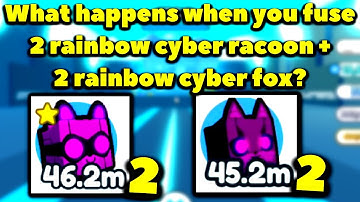 What happens when you fuse 2 rainbow cyber racoon and 2 rainbow cyber fox? (Pet Sim X - Steampunk)