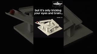 Celebrity Gravity Illusion – Is the Ball Going Up or Down? 🤯 #experiment #science #illusion Wealth