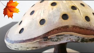 woodturning:mushroom with natural edges in a heated birch log