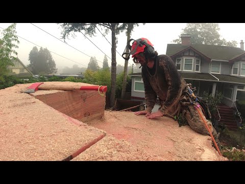 Cutting down Big Wood in small pieces