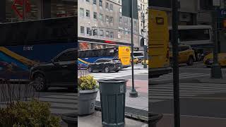 Qm15,QM16,QM17 bus