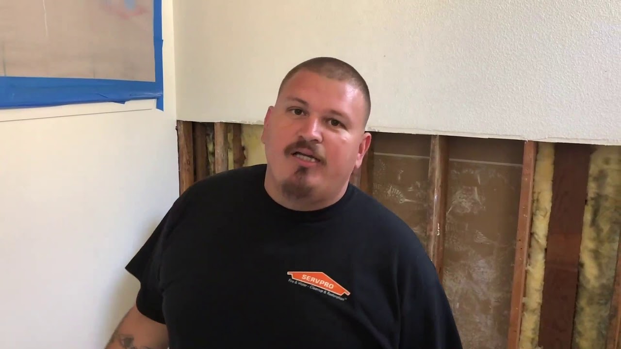 SERVPRO of San Leandro Toilet Leak Repair Walk through, (510) 352-2480