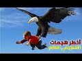 عندما يجوع النسر لا ينجو احد من مخالبه أخطر هجمات النسور لو لم يتم تصويرها لما صدقها أحد