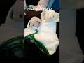 Uno de mis peluches me recuerda a un juego de Mario pero no se cuál