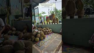 • F5 Refresh • #harisnesia #Sepi #Pulang #Telat #Kerja #Overtime #Hilang #F5 #Refresh #viral #work