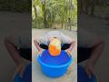 Hai ông cháu thử thách IQ370 đánh đàn sẽra sao?p11 ⛲️#shorts #cute