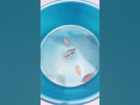 Потливость ног - YouTube