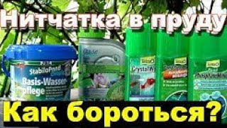 Химия против водорослей в пруду? Будет ли эффект и стоит ли её покупать? Пошаговый видеоотчёт.