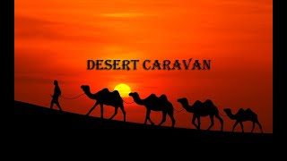 Desert caravan