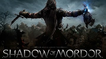 Middle Earth Shadow of Mordor 1080p on Radeon R7 360 2GB GDDR5 128-BIT + CORE 2 DUO E8600