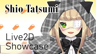 [Live2D] Shio Tatsumi v2 model showcase (graduated)