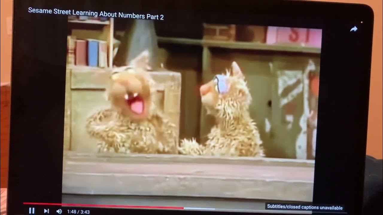 Sesame Street Cats Chip and Dip YouTube