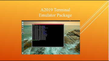 A2019 Terminal Emulator | How to use Terminal Emulator Actions | Automation Anywhere