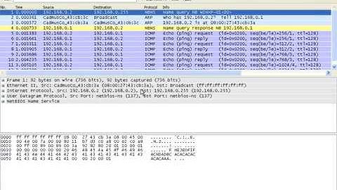 Loop Avoidance DNS Server Part 01
