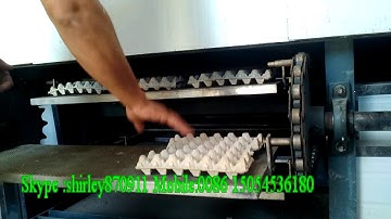 egg tray machine drying line (single layer drying line and multi-layer drying line )