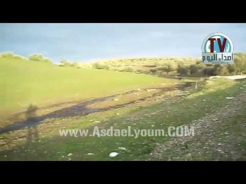 تازة معاصر الزيتون بتاهلة تنذر بكارثة بيئية