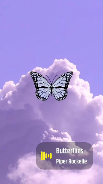 Bata fly🦋🦋