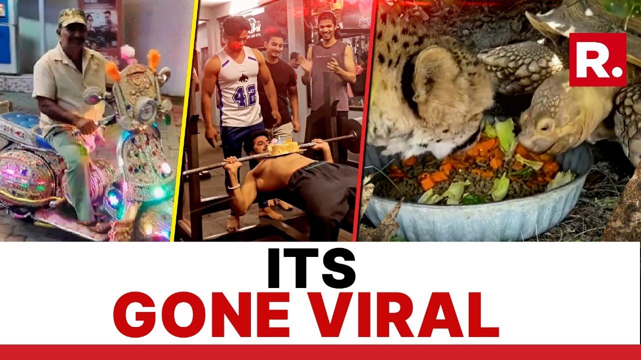 Today's must-see viral videos