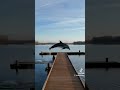 edit but air edit
