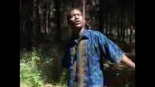 Linga langa