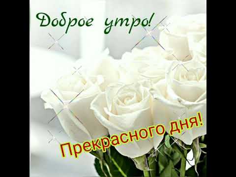 Доброе утро, Прекрасного дня.
