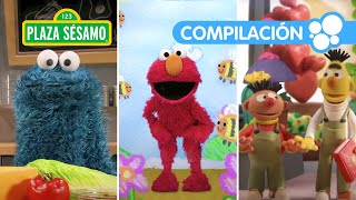 Plaza Sésamo: ¡Elmo le da la bienvenida a la primavera! | Compilación