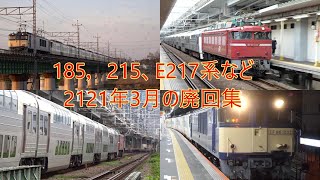 【廃回】185系 215系 E217系+E493、東急甲種回送