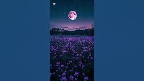 سورة الماعون بصوت الشيخ رعد الكردي .