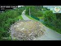 UA Прямий ефір White Stork Live Трансляція з гнізда лелек в Національному парку Пирятинський Bird UA Прямий ефір White Stork Live Трансляція з гнізда лелек в Національному парку Пирятинський Bird