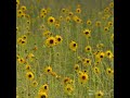 Summer in the Sandhills | A Moment of Zen | Nebraska Public Media