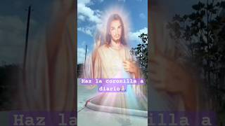 “Mas que tus pecados me duele tu desconfianza” Diario de Santa Faustina”