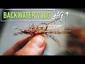 Leggy bonefish shrimp fly backwater vlog 91