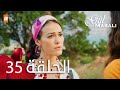 مسلسل حكاية وردة الحلقة 35