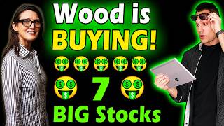 Celebrity 7 Stocks Cathie Wood is Buying Right Now! Wealth