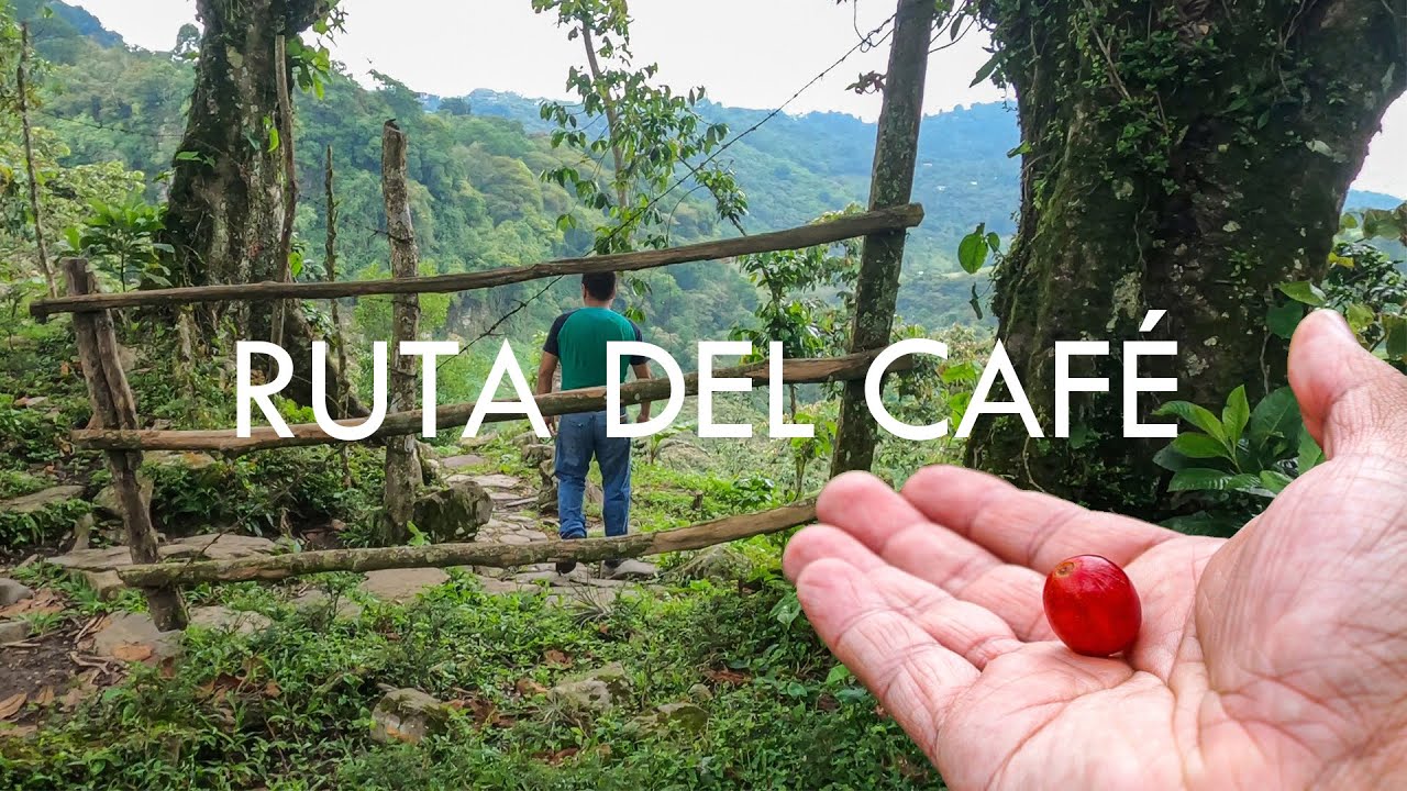 La Ruta Del Cafร โ Cuezali ๐ En Cuetzalan Puebla ๐ฑ Youtube