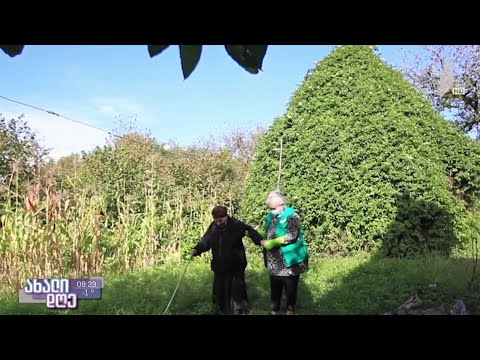 #ახალიდღე პროექტი „პარტნიორობა ჩართულობითი პოლიტიკის შესაქმნელად“