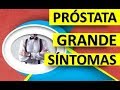 PRÓSTATA GRANDE SÍNTOMAS Próstata Agrandada: Si Tienes Más de 40 Años Necesitas Conocer