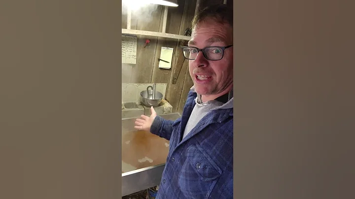 Homesteading Life | Sap To Syrup Finale! #farming #shorts #homesteading #farmlife #cow #diy #snow