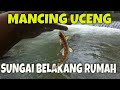 umpan mancing uceng di sungai belakang rumah pakai umpan jitu andalan dapat bonus nilem