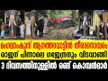 Mangalamkunnu അറിയാം മംഗലാംകുന്ന് ആനത്തറവാടിനെ കുറിച്ച്