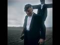 Moje More Thomas Shelby Shorts 