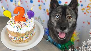 How To Make a Apple Chicken Birthday Cake For Dogs 🎂 DIY Dog Treats by Gone to the Snow Dogs 57,367 views 5 months ago 10 minutes, 28 seconds