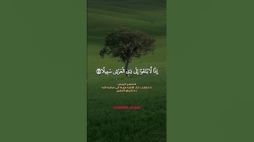 إذا لابتغوا إلى ذي العرش سبيلا❤️ #سورة_الإسراء #يوسف_العيدروس #قرآن_كريم #صوت_جميل #تلاوة_خاشعة #دعم