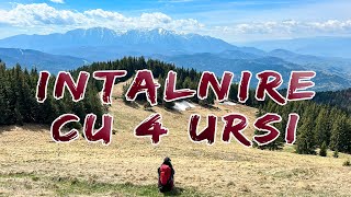 Sez.2/Ep.9  Aventură în Piatra Mare: Întâlnire cu 4 Urși și un Cocoș de Munte!