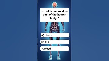 can you get 3/3 ? #mindbendingquiz #quizgame #generalknowledge #facts #trivia #quiz #riddles