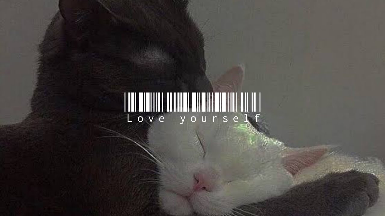 love yourself - Justin bieber ( sped up 💗 + Reverb