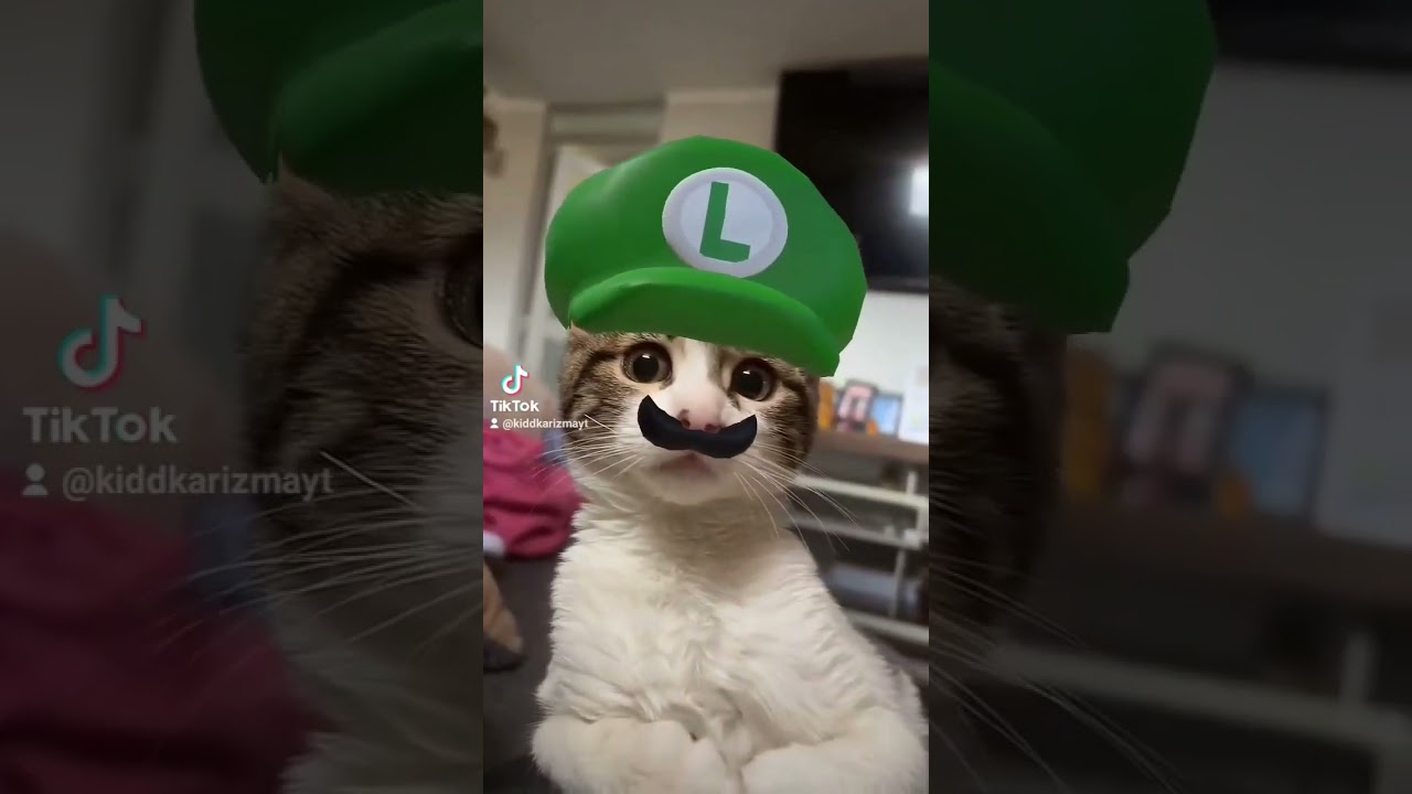 It's a Me Kitty Luigi 