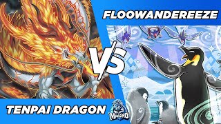 Floowandereeze vs Tenpai Dragon   High Rated  Dueling Book