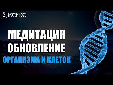 Video: Ливандык кедр (41 сүрөт): конустун сүрөттөлүшү. Ливандан келген кедр кандай көрүнөт? Үйдө уруктан өстүрүү